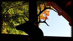 Thank you for visiting the Grand View Ranch!