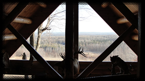 Trophy Whitetail Hunts & Nature Preserve